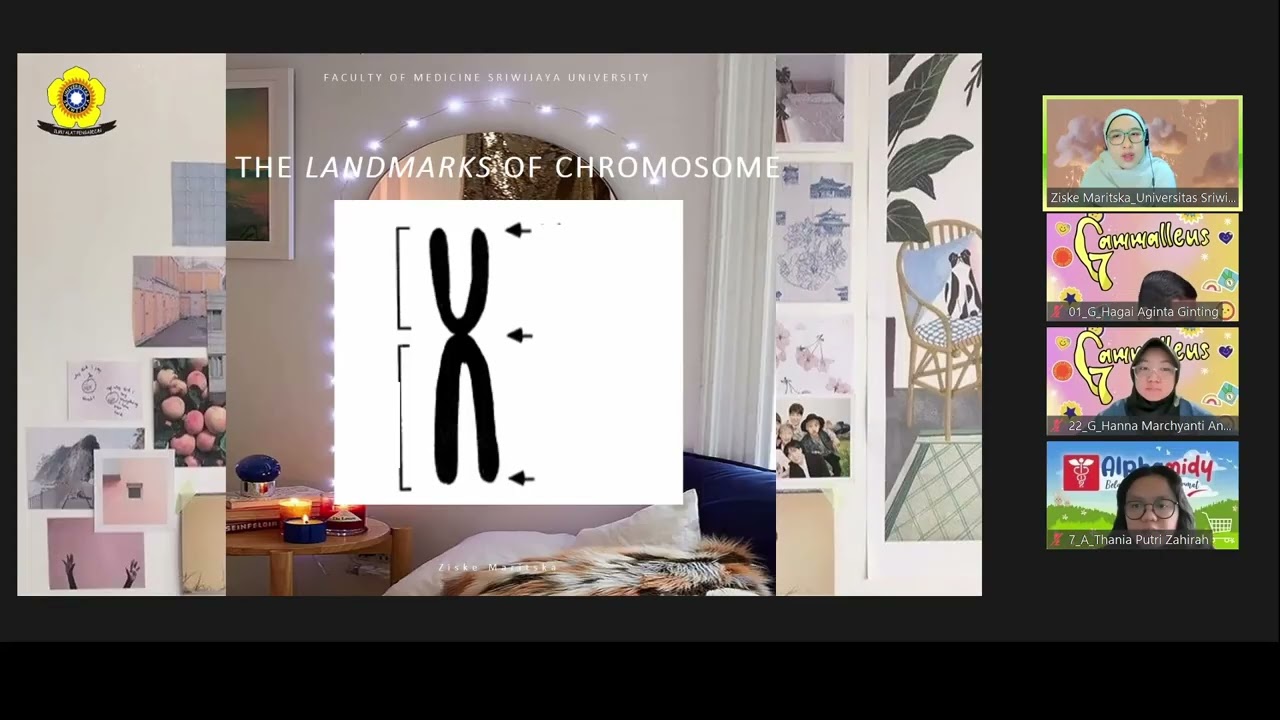 sitogenetik