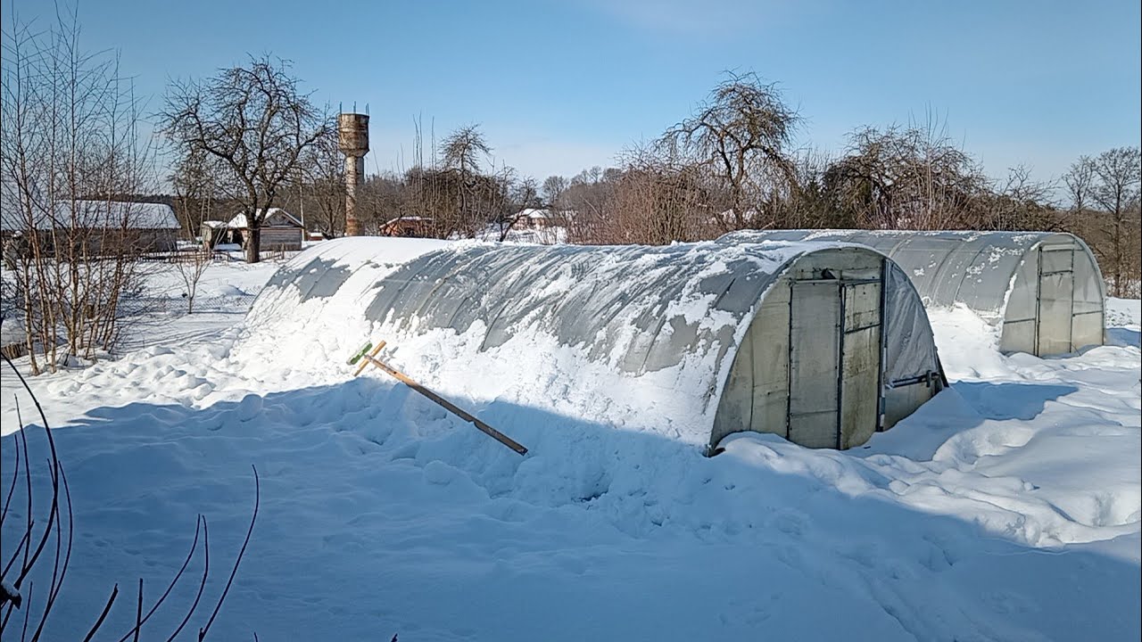 🏕️ 🐈‍⬛ ✌️ БЕЛАРУСКИЙ ДЕРЕВЕНСКИЙ КОНТЕНТ! Как я езжу в деревню по делам😂 И про кота, и про погреб