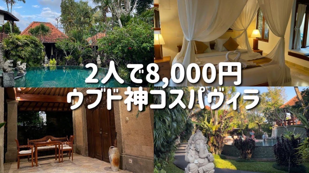 【バリ島#2】2人で8,000円の神コスパヴィラ🌿ヴィラソニアウブドへ