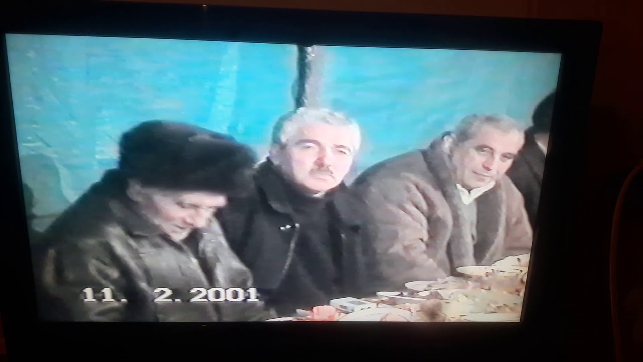 Elmidar Musaküçə