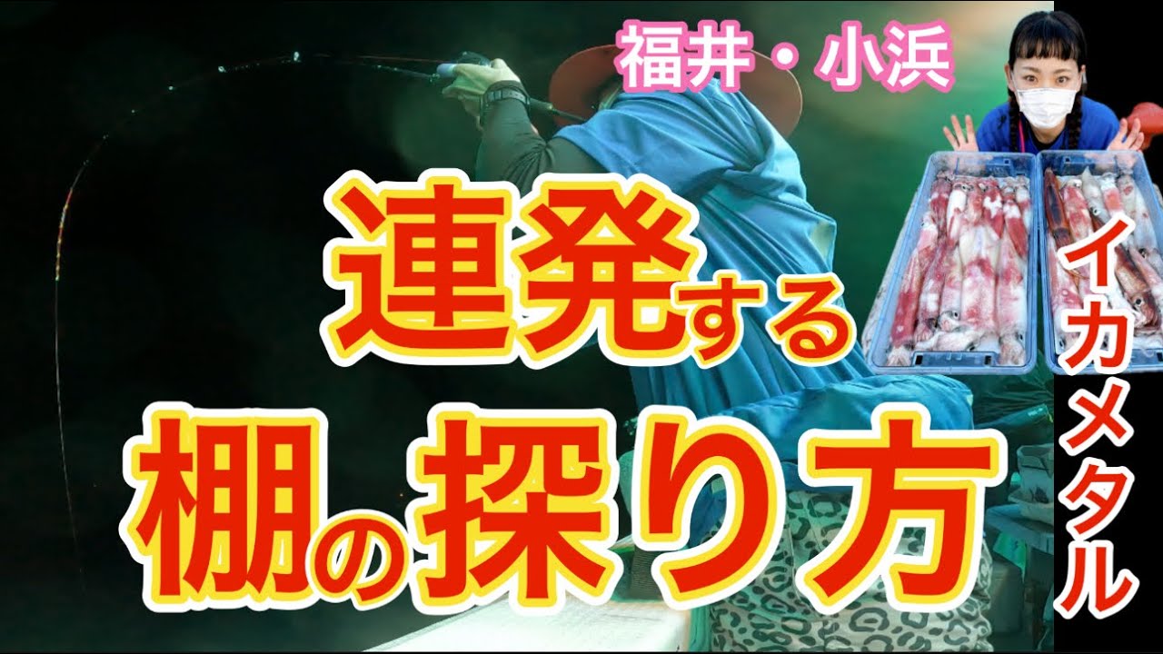 【イカメタル】中層でヒット連発する探り方はコレ✨2025.8.28⭐︎直幸丸