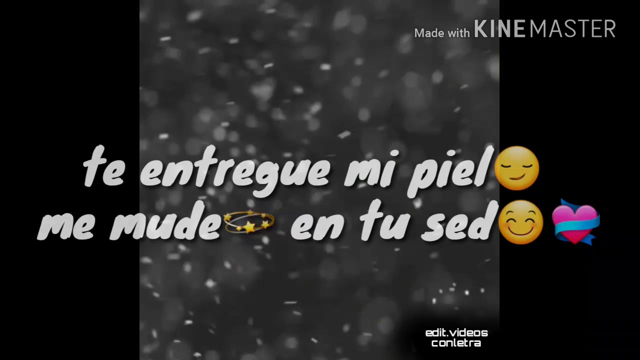 Te perdiste mi amor / edit.videosconletra