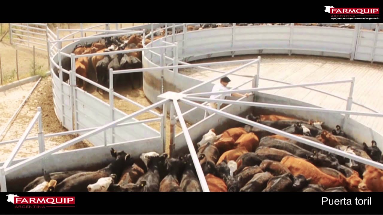 Instalación completa para Feed Lot - Tandil, Buenos Aires - FARMQUIP ARGENTINA