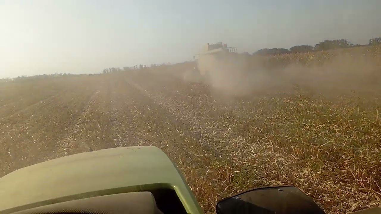 Уборка кукурузы ПАЛЕССЕ3219 дискатор РОДОГОСТ МАШ 6-2 ХТЗ КЛААС850