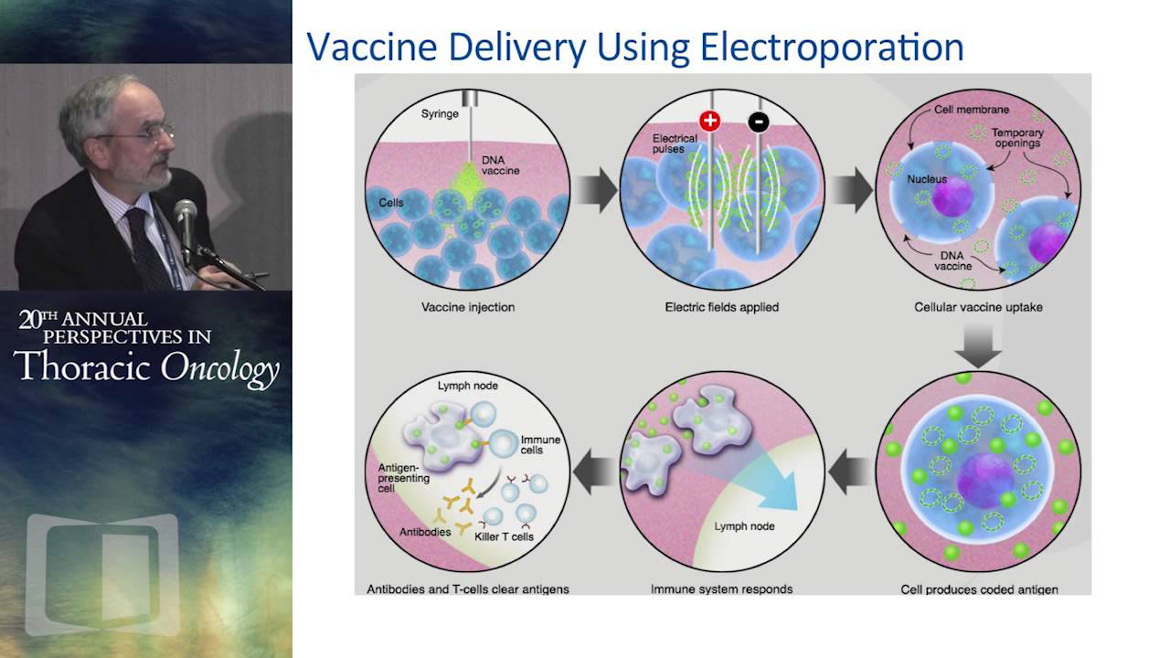 New vaccines and other immunologic strategies in the management of NSCLC