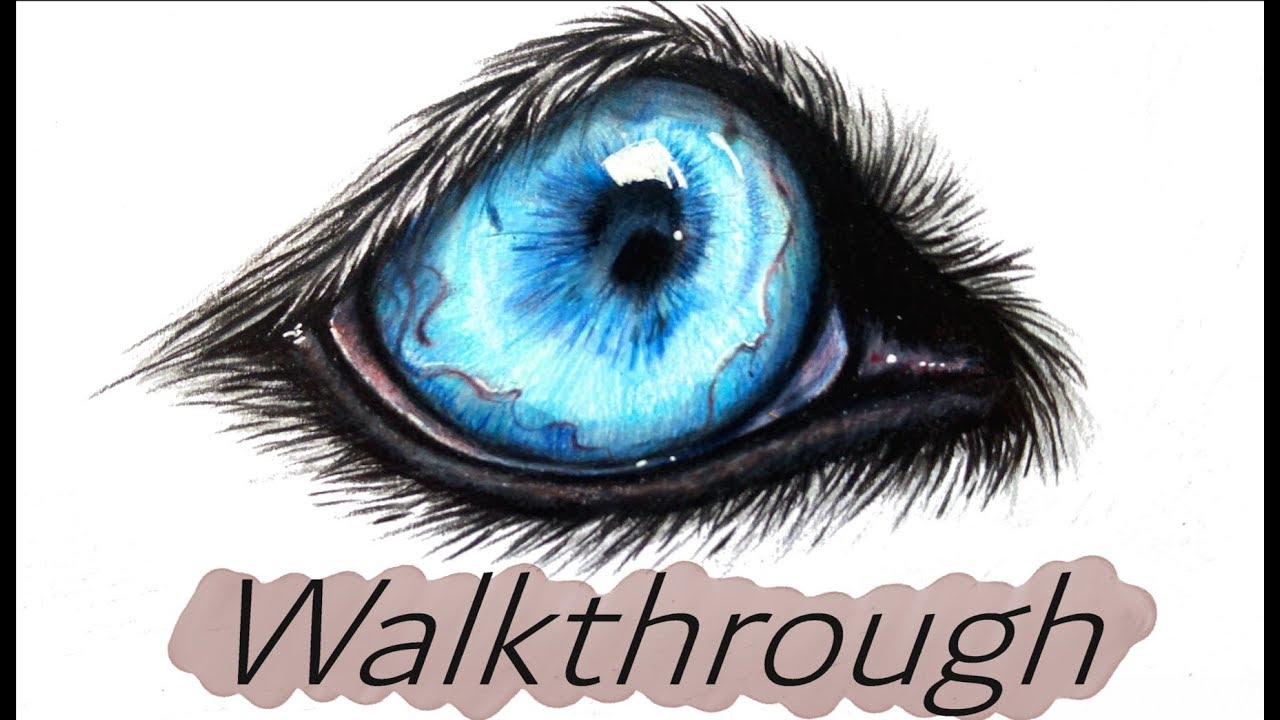 How to draw with colored pencil | Wolf eye