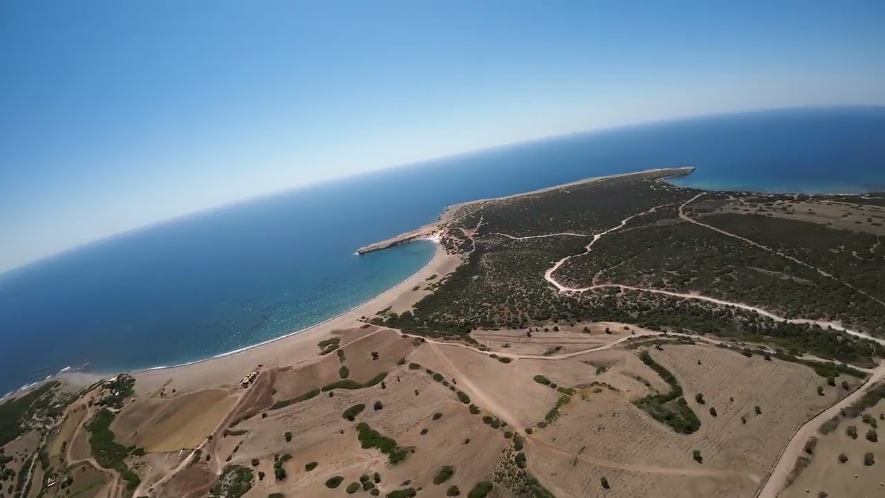 olive tree @ Lara