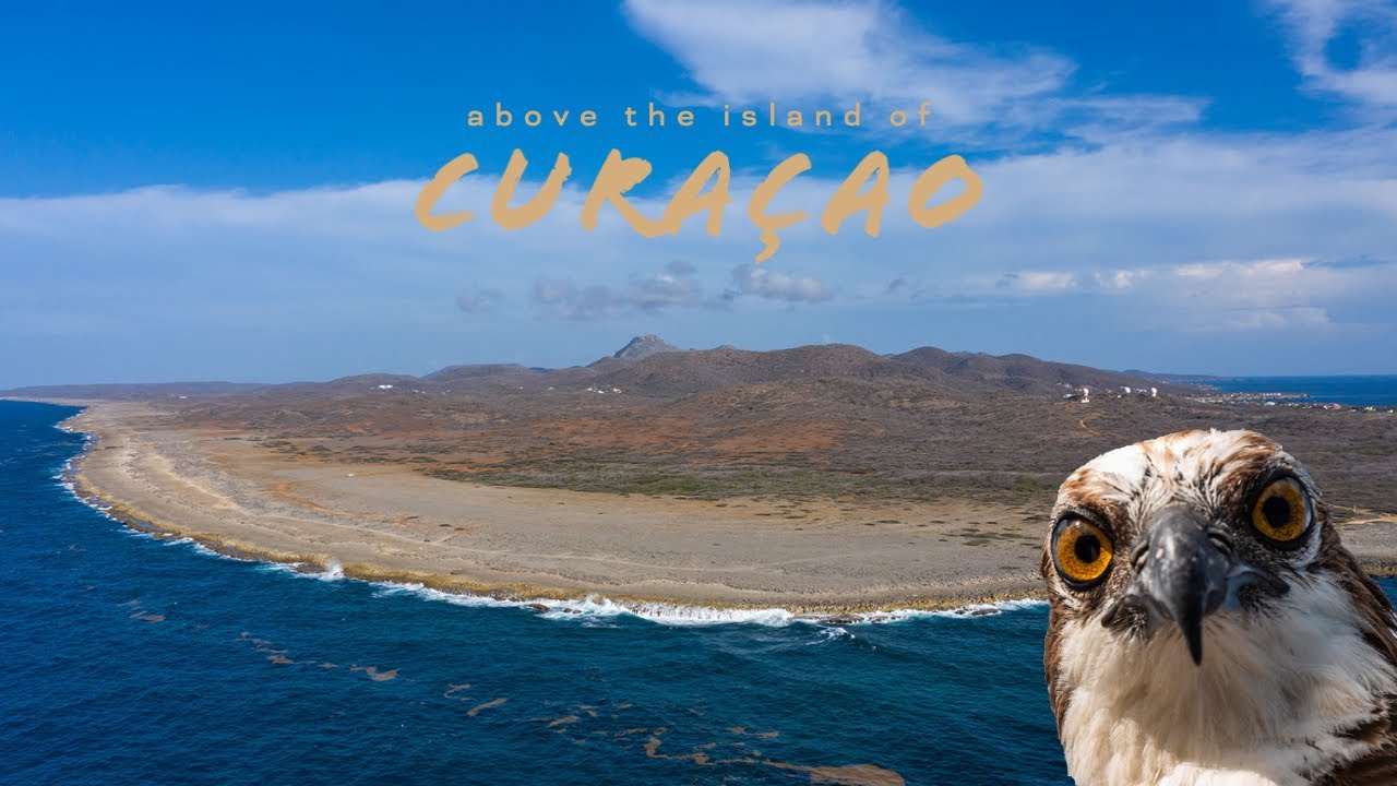 Above Curacao | pt.4  | Watamula | Amazing Aerial Scenery & Soothing Style