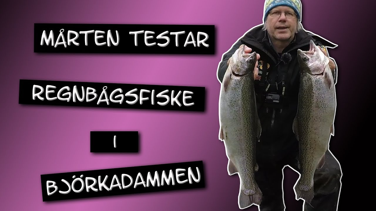 Mårten testar - regnbågsfiske i Björkadammen