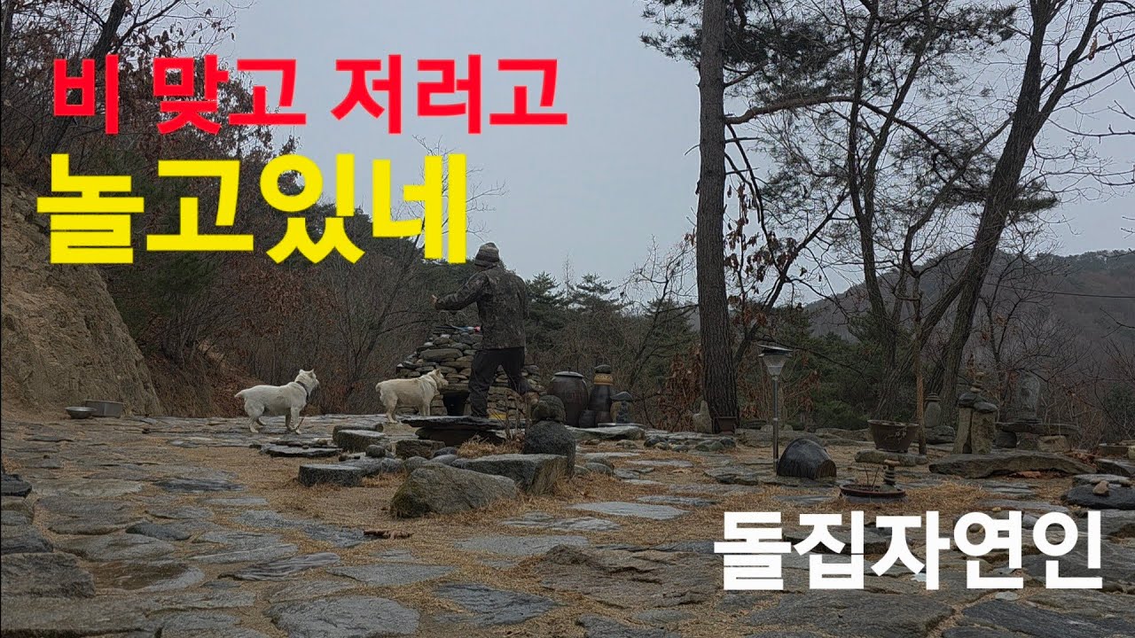 미치겠다 비오는데 일한다고 #돌집자연인 