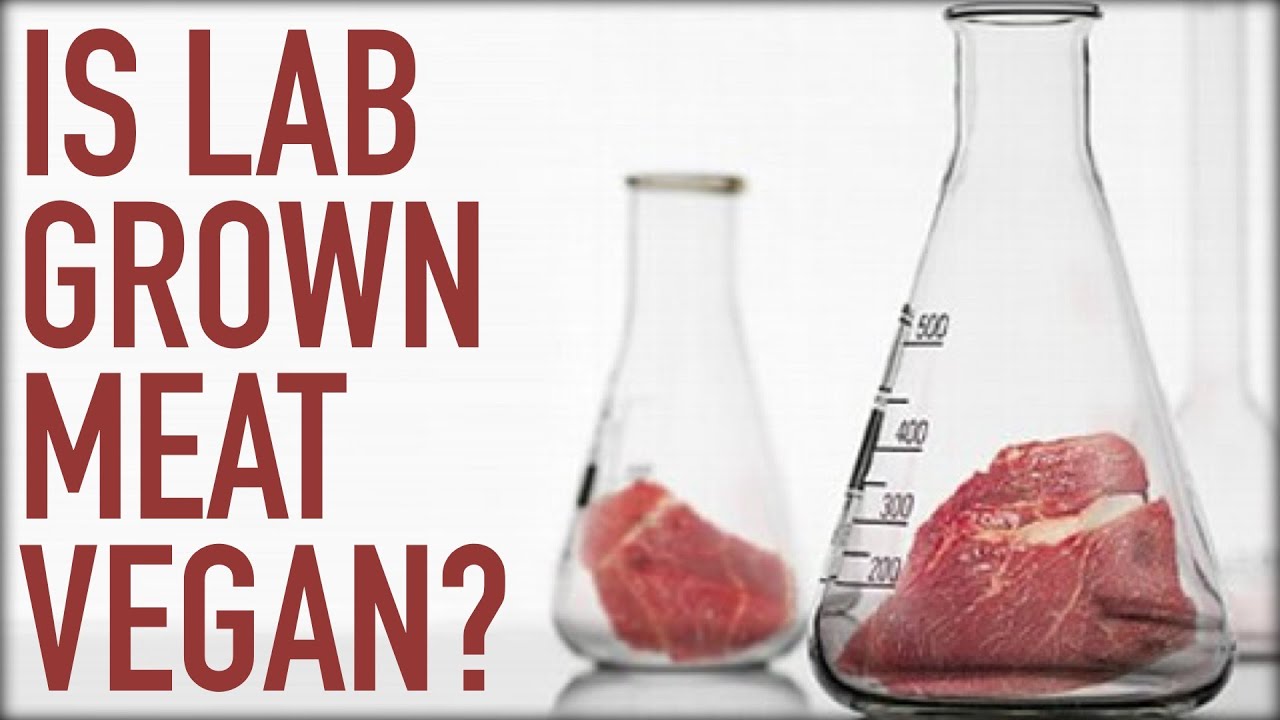 Is Lab Grown Meat Vegan?