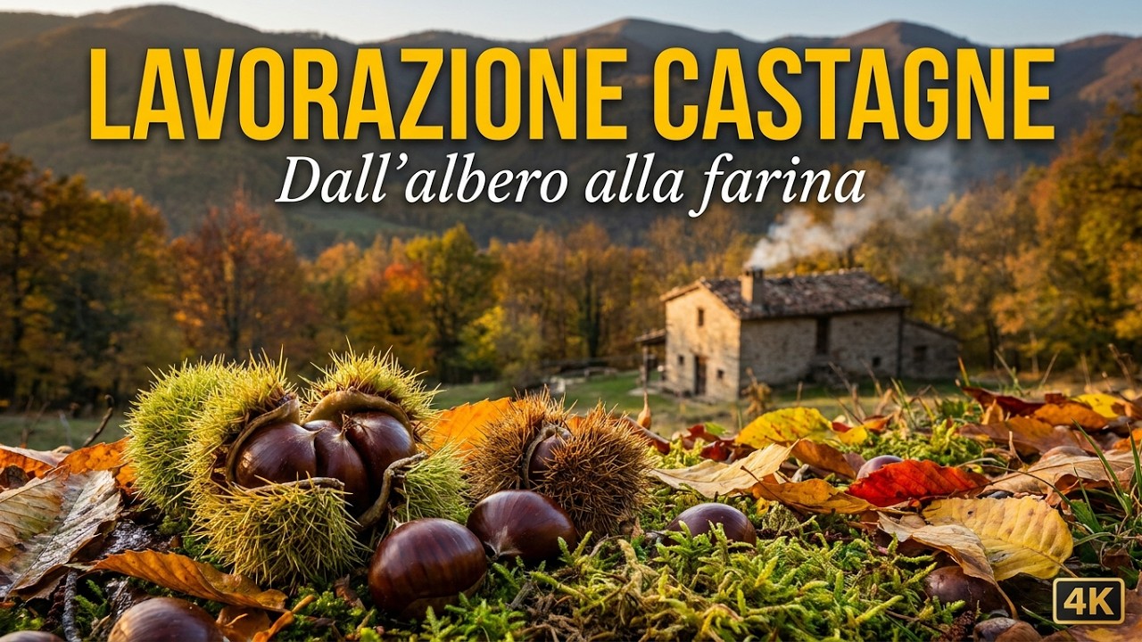 Lavorazione Castagne