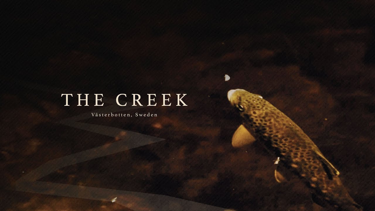 The Creek