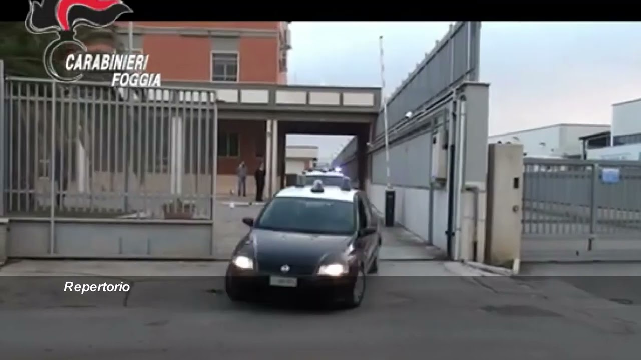 Atti persecutori e maltrattamenti nei confronti della compagna: arrestato 30enne a San Severo