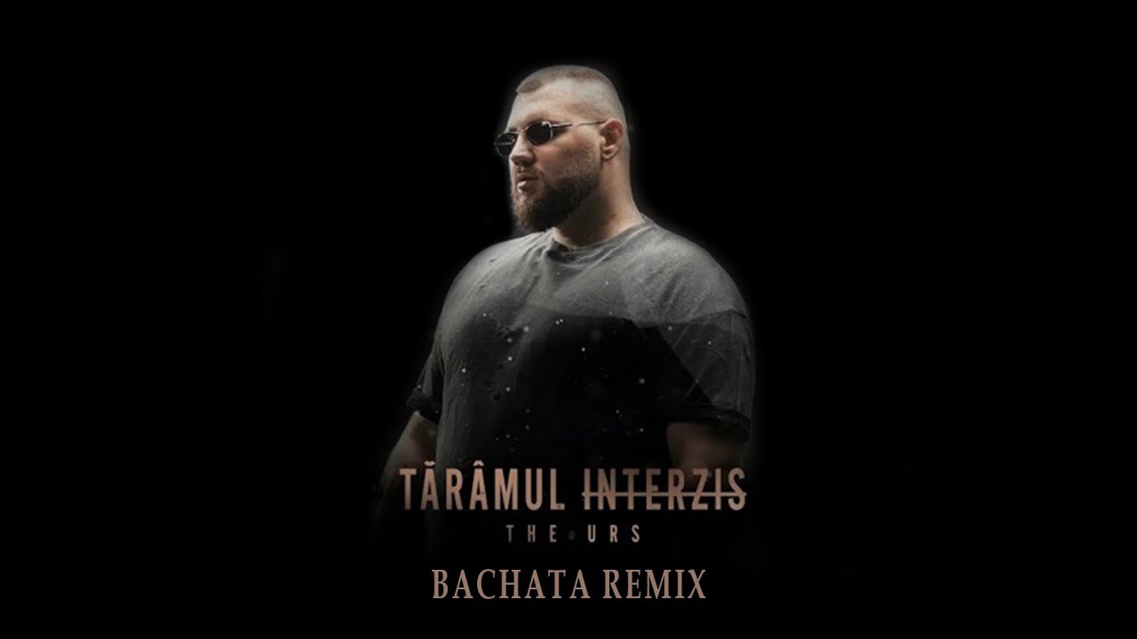 Taramul Interzis  - The Urs (Bachata Remix by DJ Andrew)