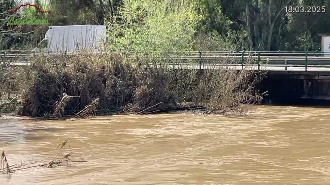18.03.2025 - ARRIADA RIO GUADIAMAR AZNALCAZAR