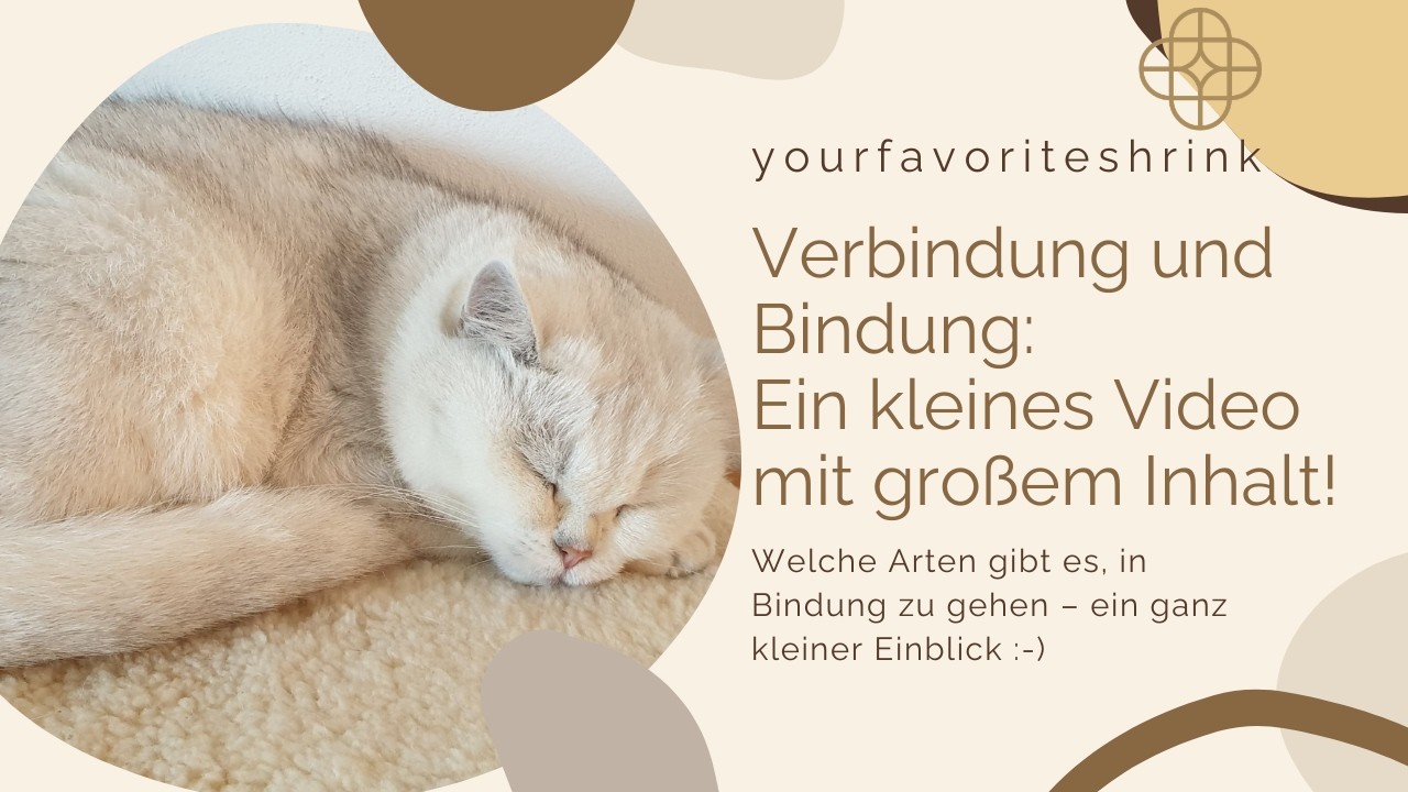 Verbindung und Bindung: Ein kleines Video mit großem Inhalt