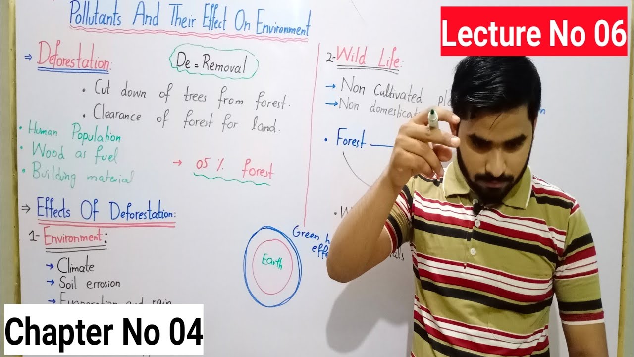 Deforestation,Effects And Causes Of Deforestation Class 8 In Urdu| wild Life Lec#No 06 | Ch#No 04