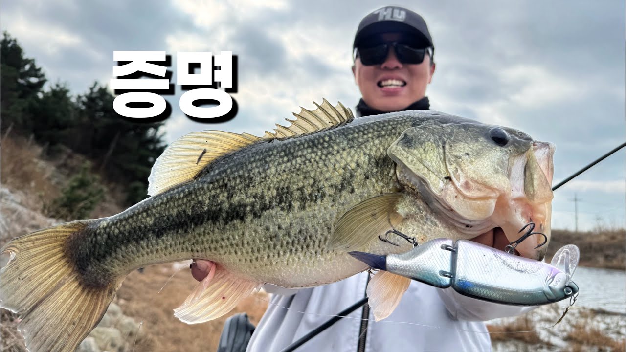 차갑게 굳은 냉동배스가 빅베이트에 반응하는 모순? 다시 증명해 보겠습니다!