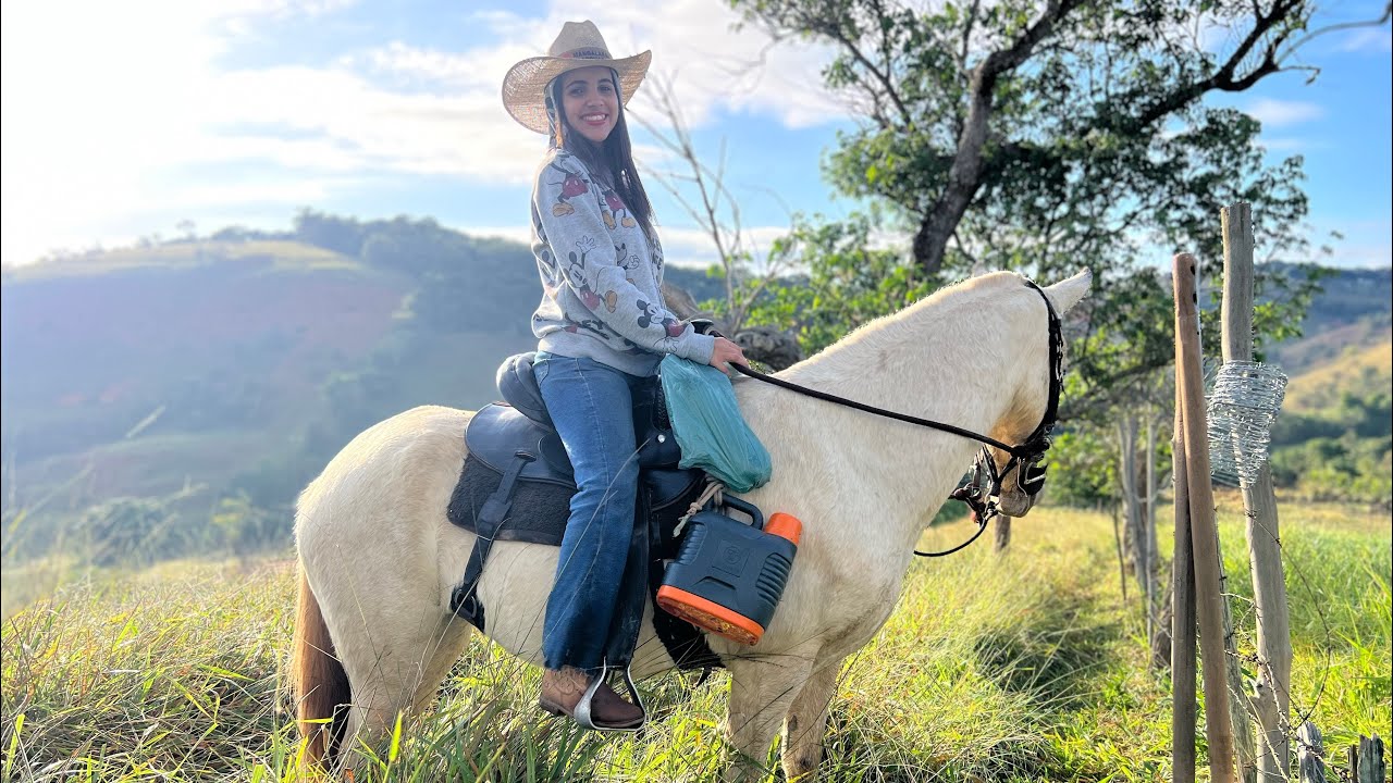 MINHA VACA PULOU PARA O TERRENO DO VIZINHO 😱, tivemos que concertar a cerca.