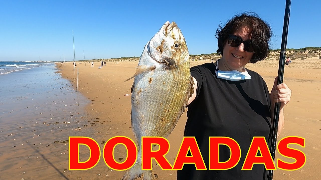 PESCA SURFCASTING DORADAS EN PLAYA ENEBRALES