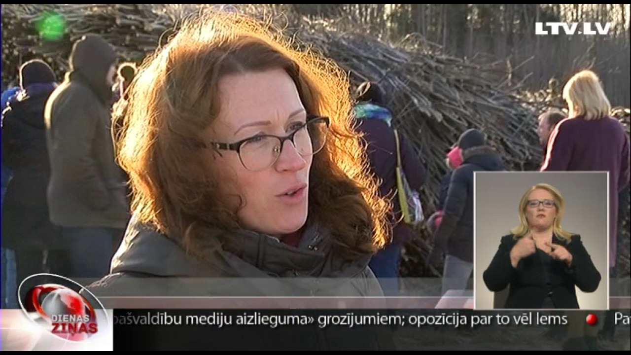 Attīsta industriālo kārklu audzēšanu