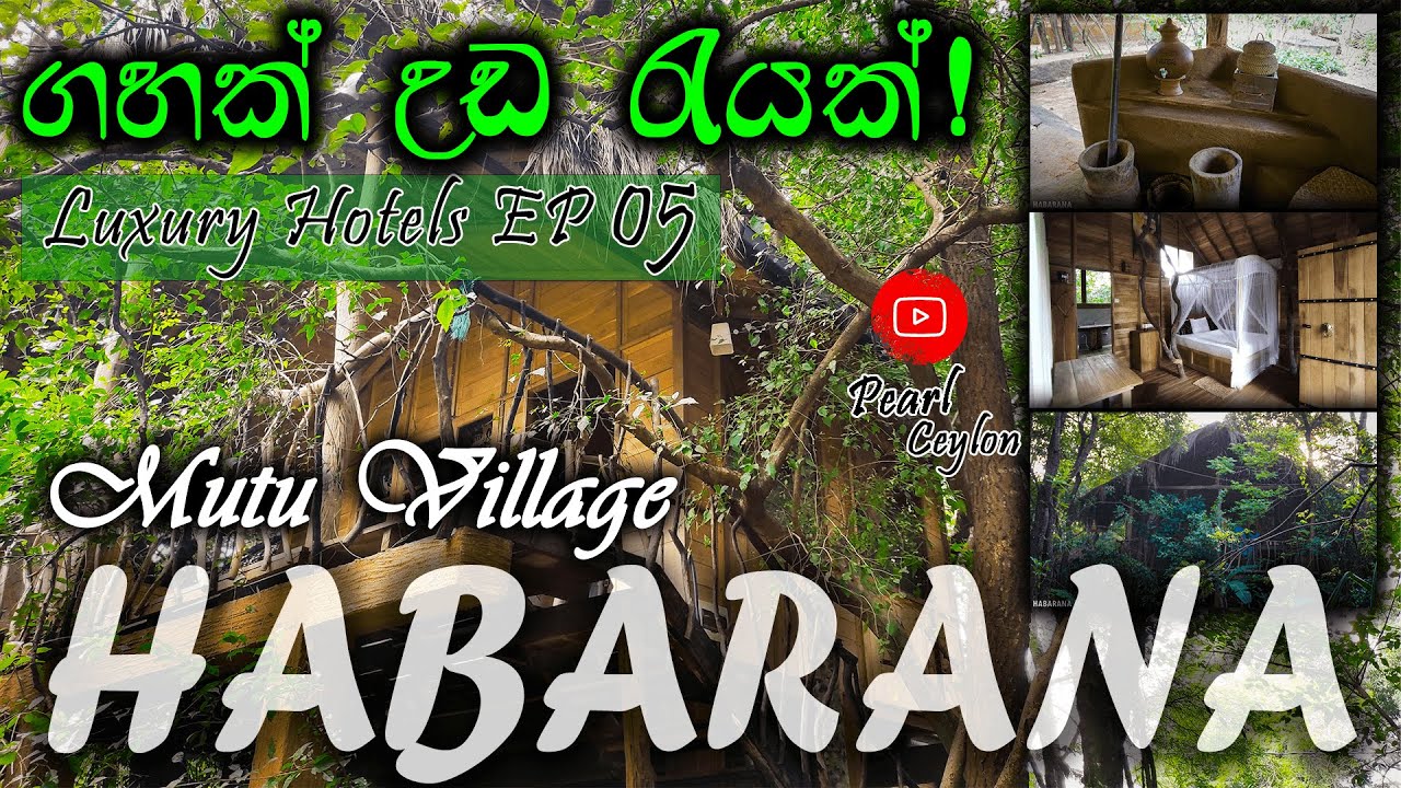 Mutu Village Tree House | Habarana | Vlog 11