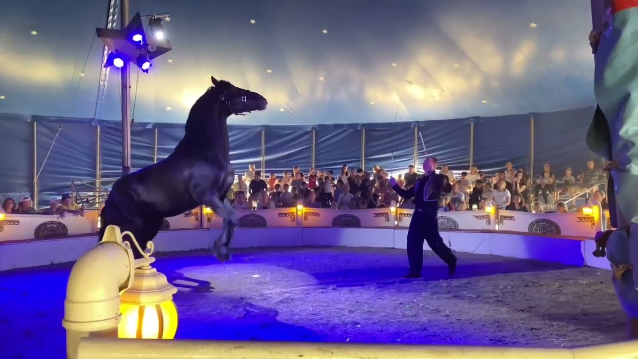 Eindrücke aus Flörsheim am Main beim Circus Alberti, der dort bis zum 04. Juni 2023 vorführte