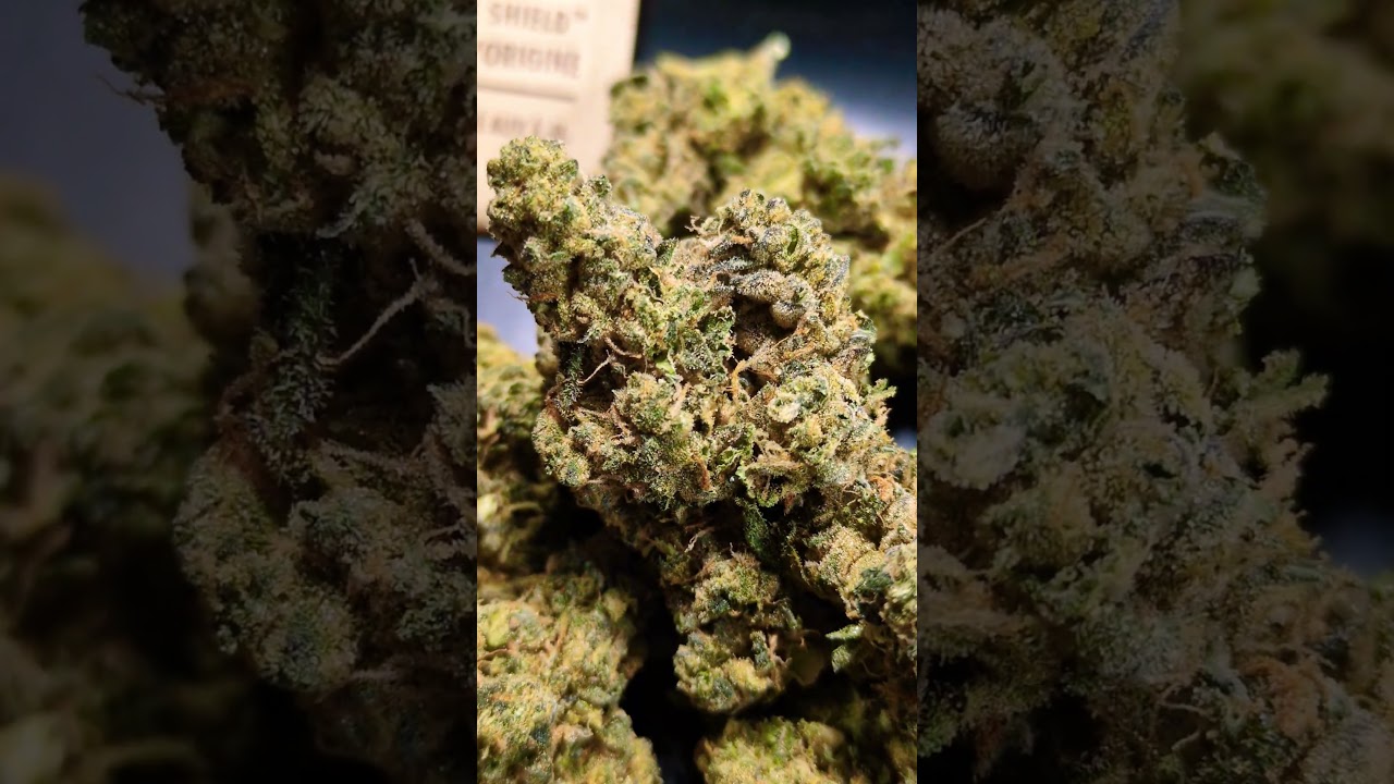 4C LABS BLUE SUNSET ( UK PRESCRIPTION MEDICATION )