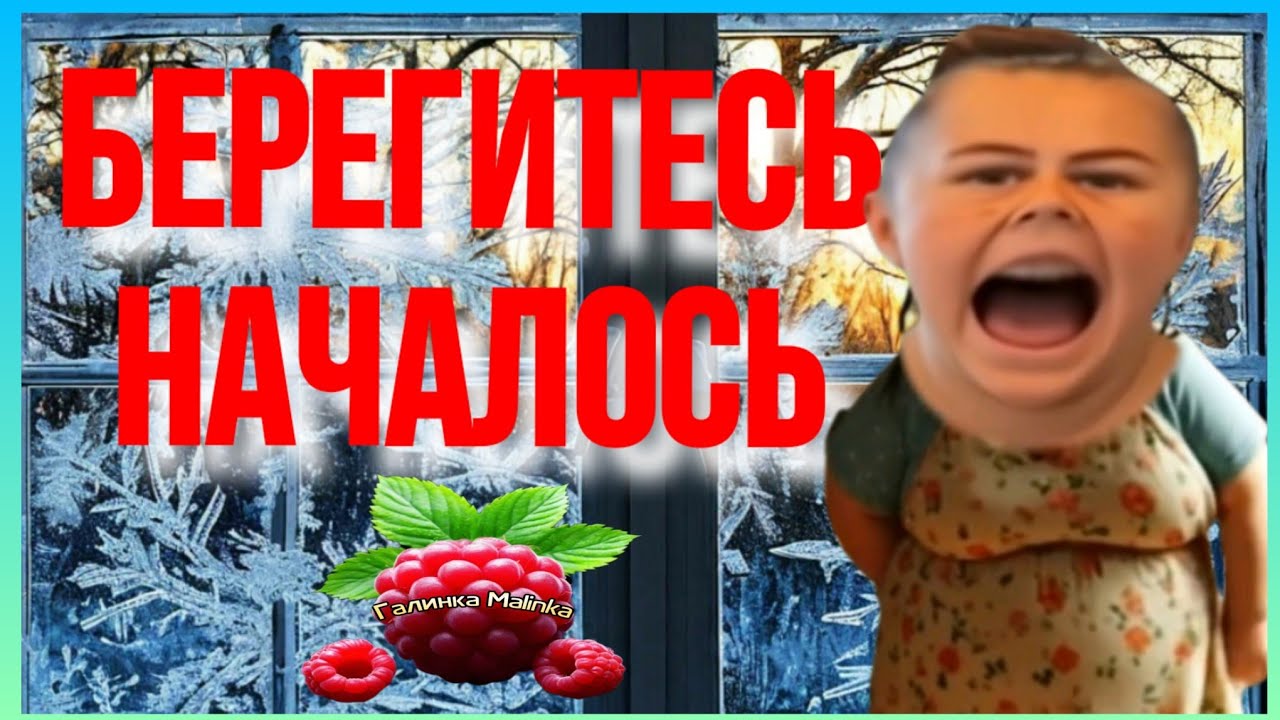 Сельчанка в Америке /Берегитесь, Началось /Обзор /Selchanka v Amerike /Big Big Family /Жизнь в США 
