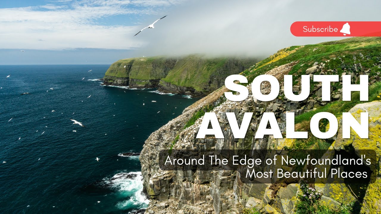 Where to see 1000s of Birds and Fossils - Roadtrip Vanlife Newfoundland