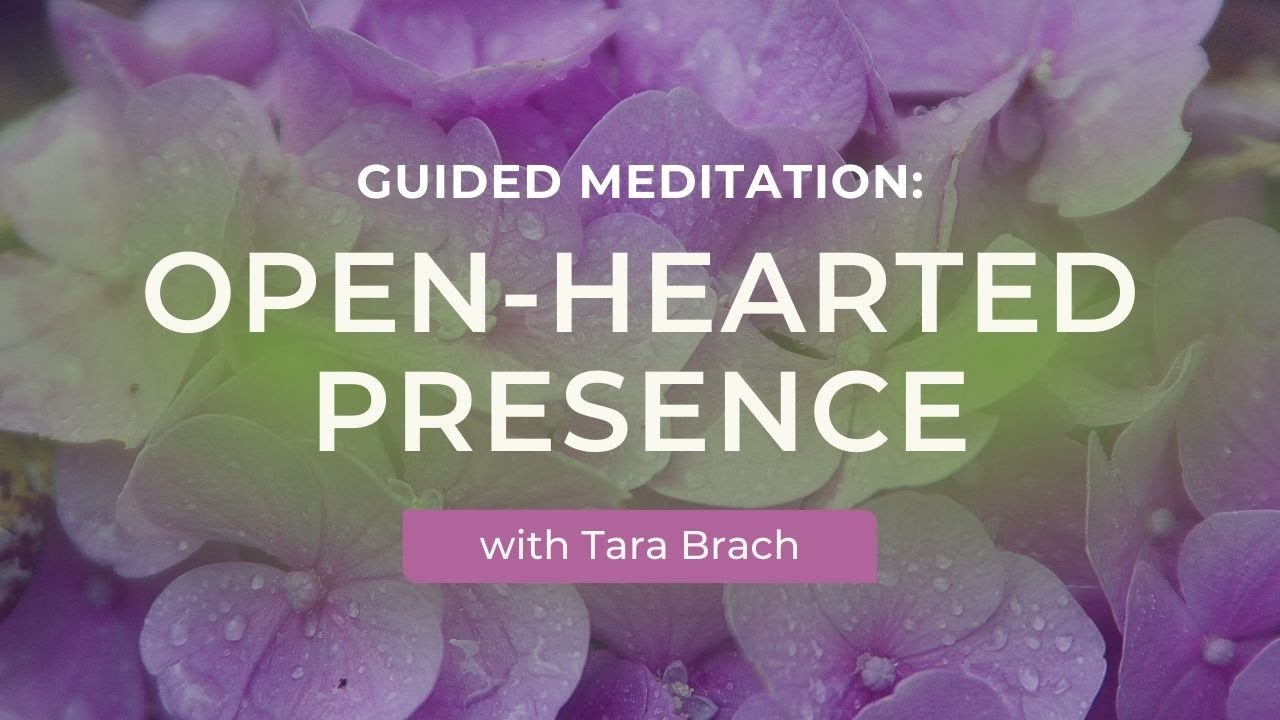 Guided Meditation: Open-Hearted Presence with Tara Brach