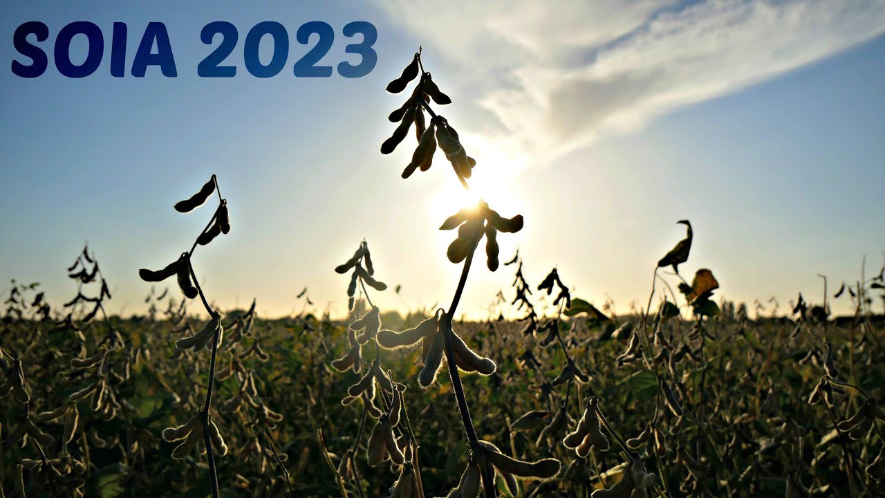 SOIA 2023: COME è ANDATA?