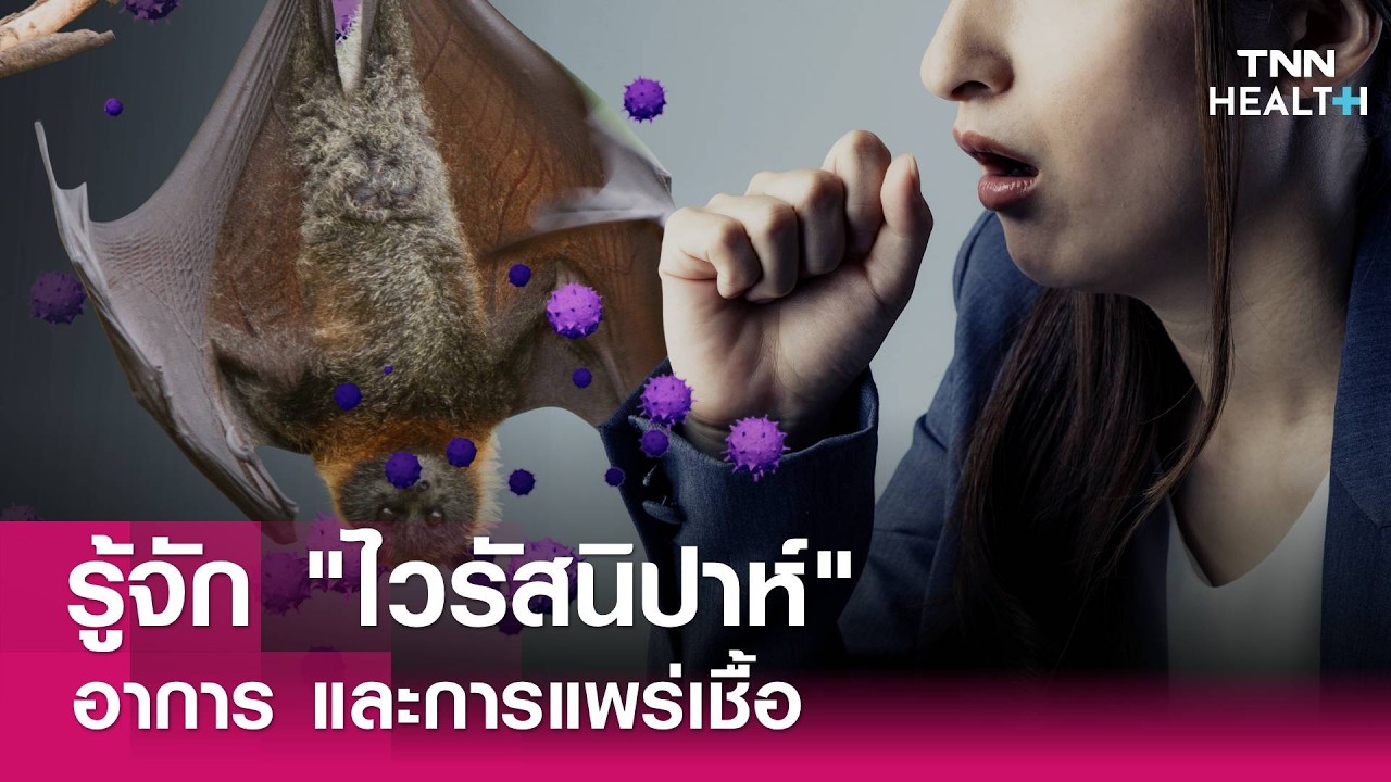 รู้จัก ไวรัสนิปาห์ อาการ การแพร่เชื้อ : TNN Health