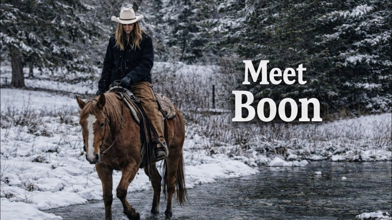 Meet Boon | Snow on the Trail Horse | Narrated 