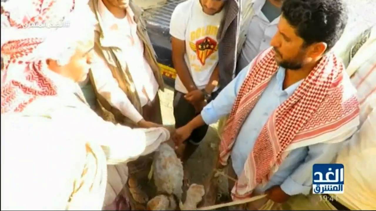 اعرف بلدك: مُديرية 