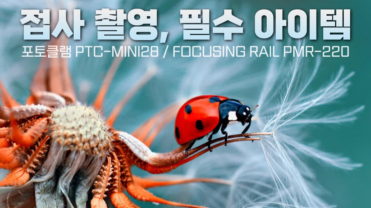 포토클램 매크로 포커싱 레일 / 포토클램 PTC-MINI28 카본 미니삼각대 접사 키트 / 포커스 스태킹을 이용한 접사촬영 마스터