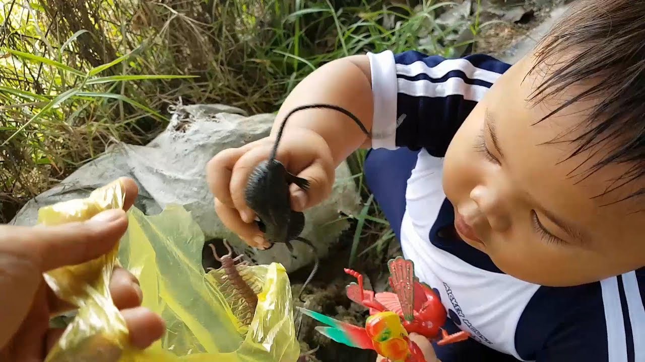 Trò Chơi Bé Pin Rừng Gỗ ❤ ChiChi ToysReview TV ❤ Đồ Chơi Trẻ Em Baby Doli Fun Song Bài Hát Vần Thơ