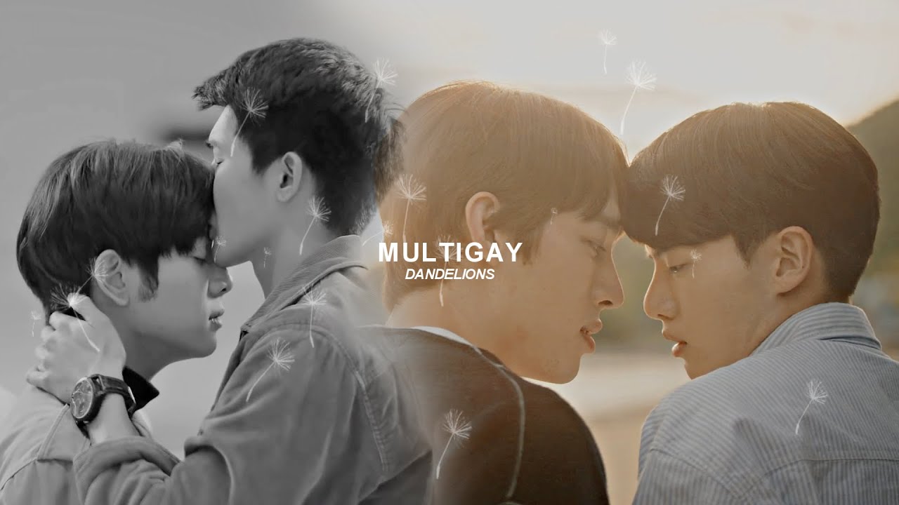 Multigay | Dandelions [BL] @QuetzalEdits