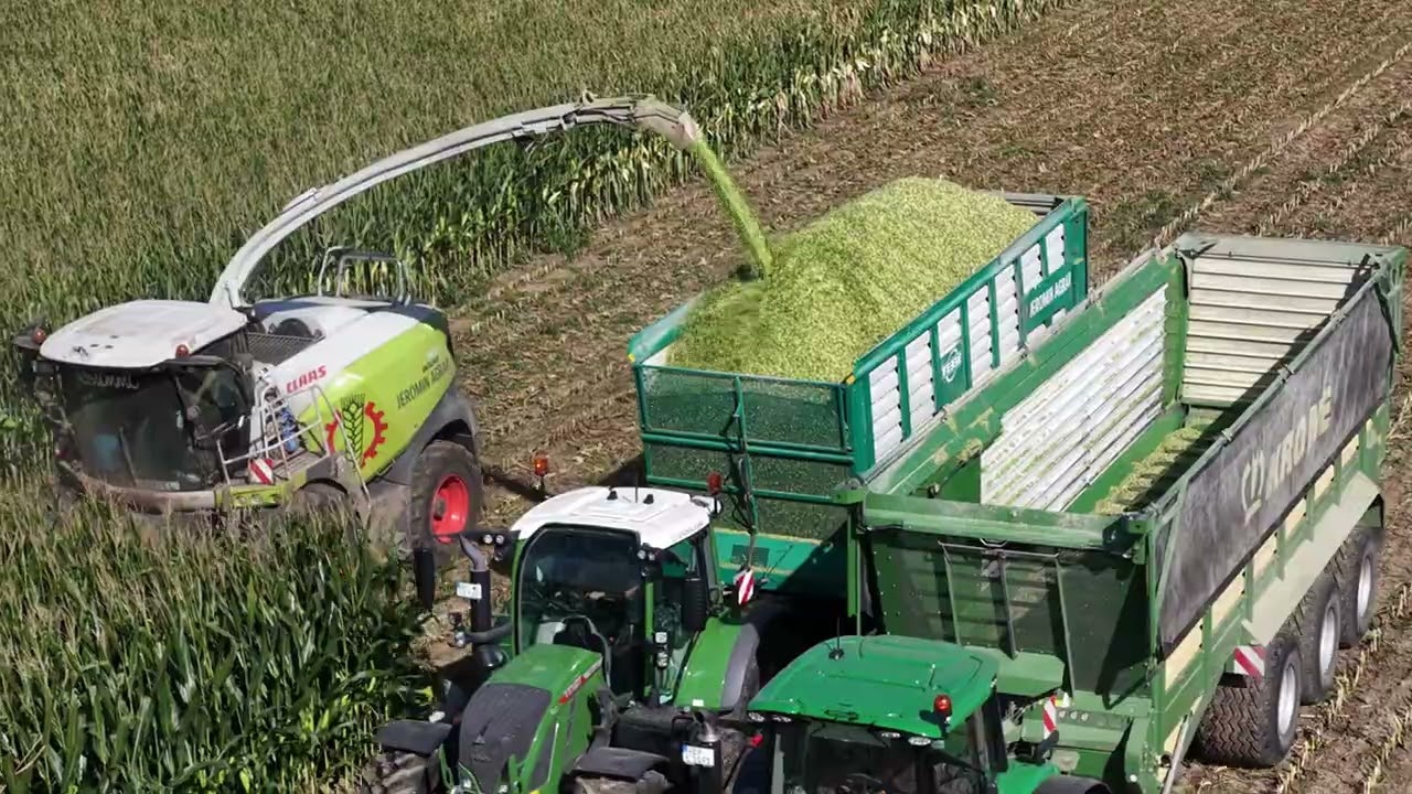 Mais Ernte 2025 in der B&ouml;rde mit LU Jeromin +Claas Jaguar 980