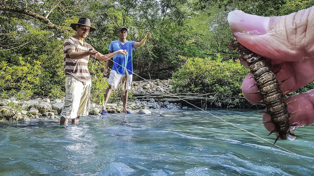 Pescando Mojarras Con Cuerda y Gusano de Río