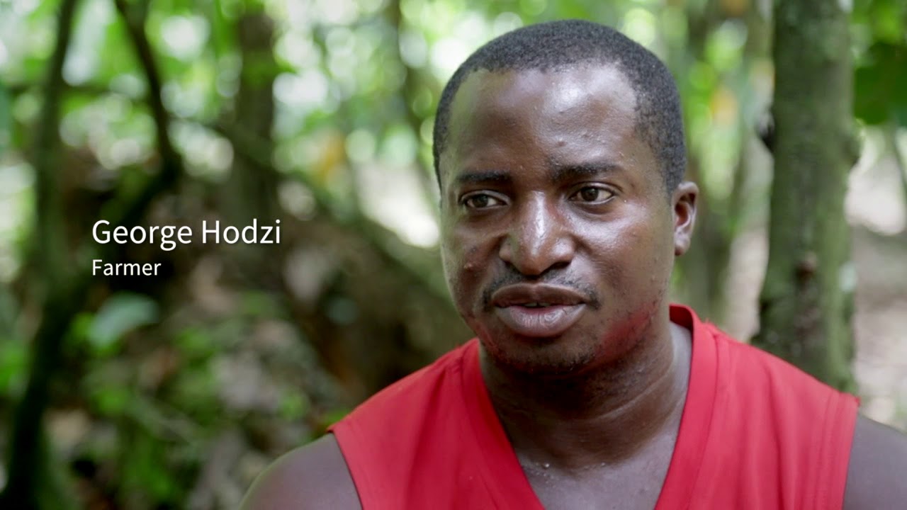 Promoting sustainability and wellbeing in Ghana's cocoa forests