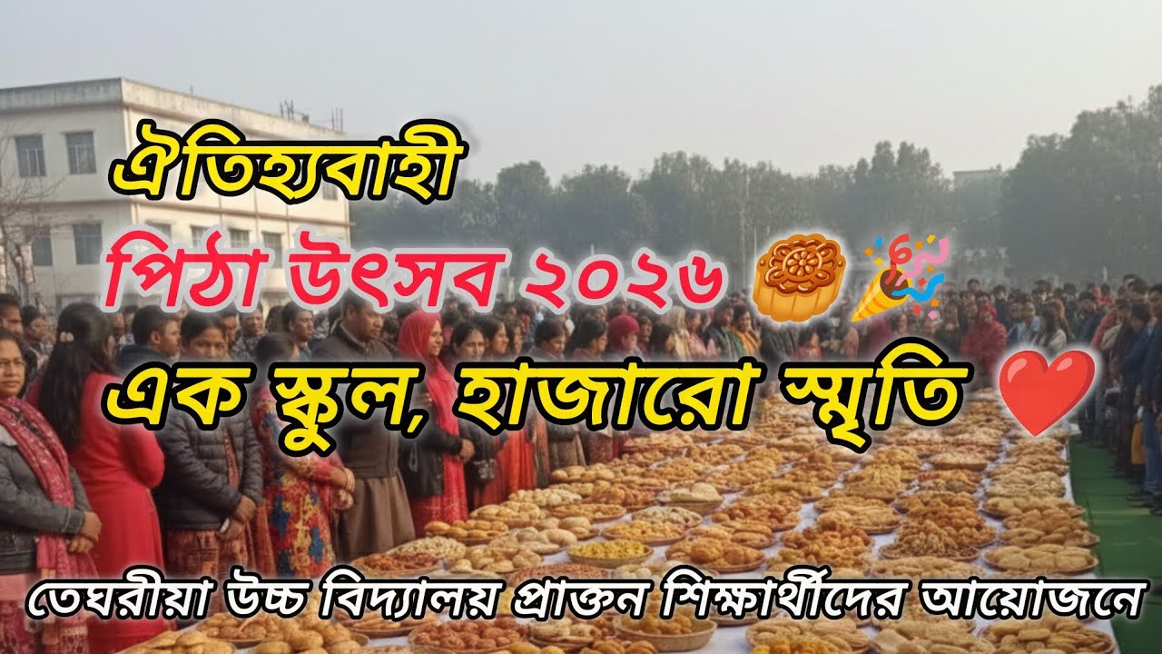 পিঠা উৎসব ❤️এক স্কুল হাজারো স্মৃতি 🥰| Cake Festival, Teghoria High School.