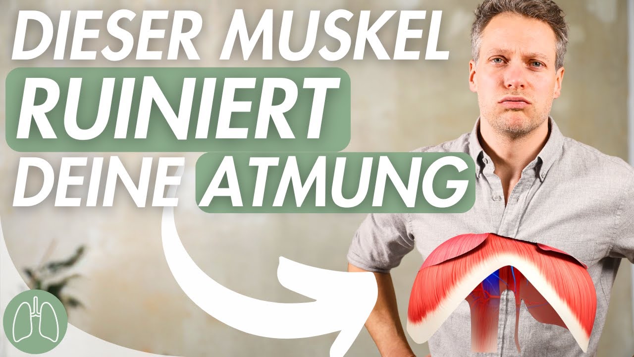 Luftnot? Dieser Muskel ist schuld! So reaktivierst du ihn und atmest endlich tief durch