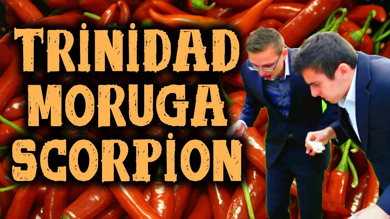 WORLD'S HOTTEST PEPPER (a lot of vomiting/puking alert)