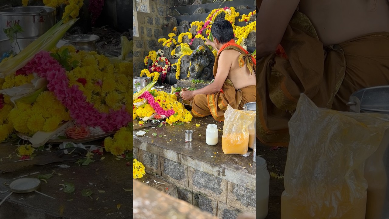 Nagara Panchami 2025 Vibes 🐍 | Temple Visit & Puja Moments | Mini Vlog