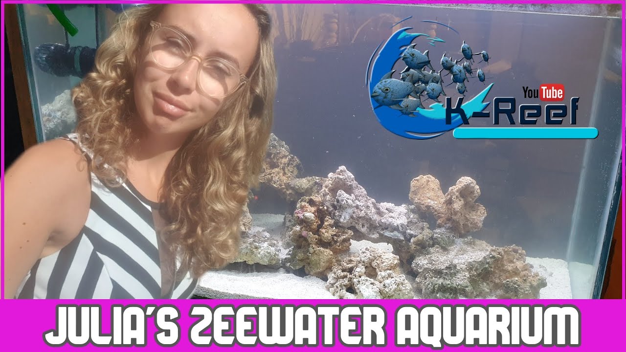 Julia's zeewater aquarium!