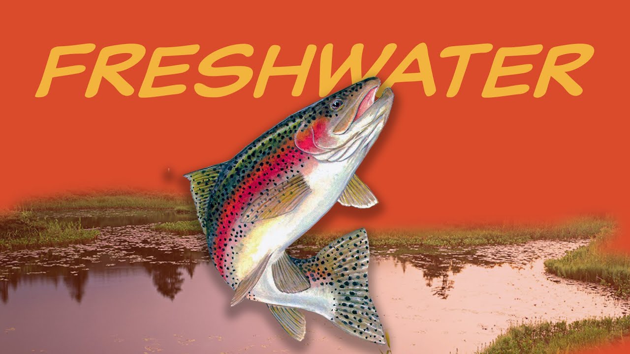 Explore the FRESHWATER Biome 🐟 Nature Ecology & Environment