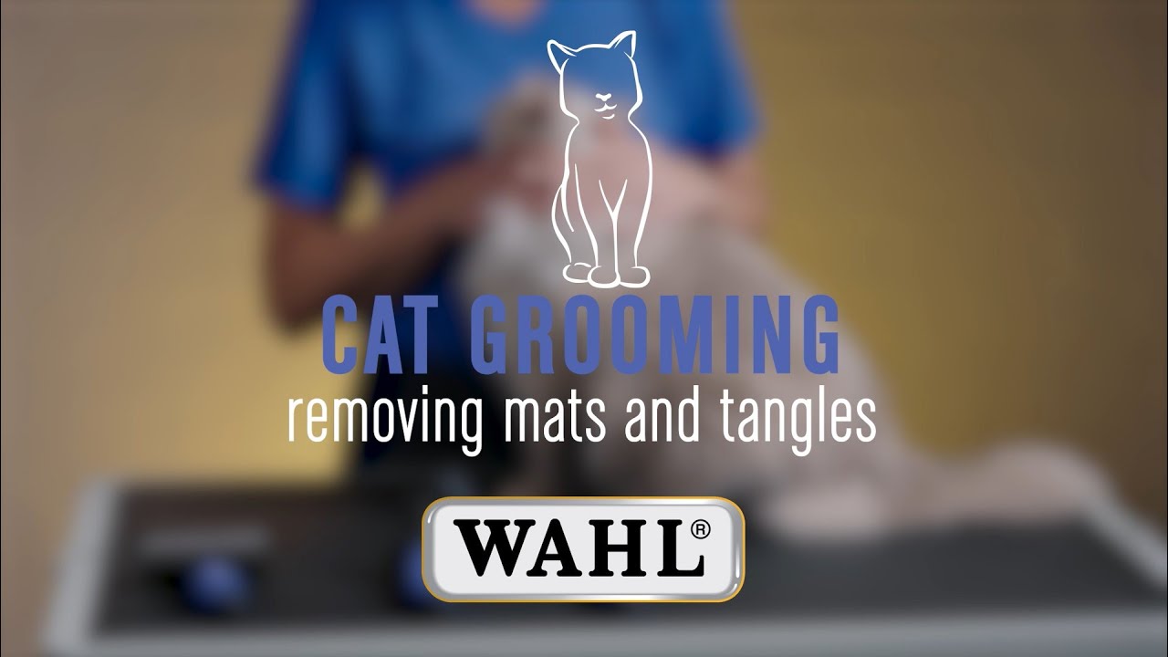 Easily Remove Mats & Tangles from your Cats Fur 😻