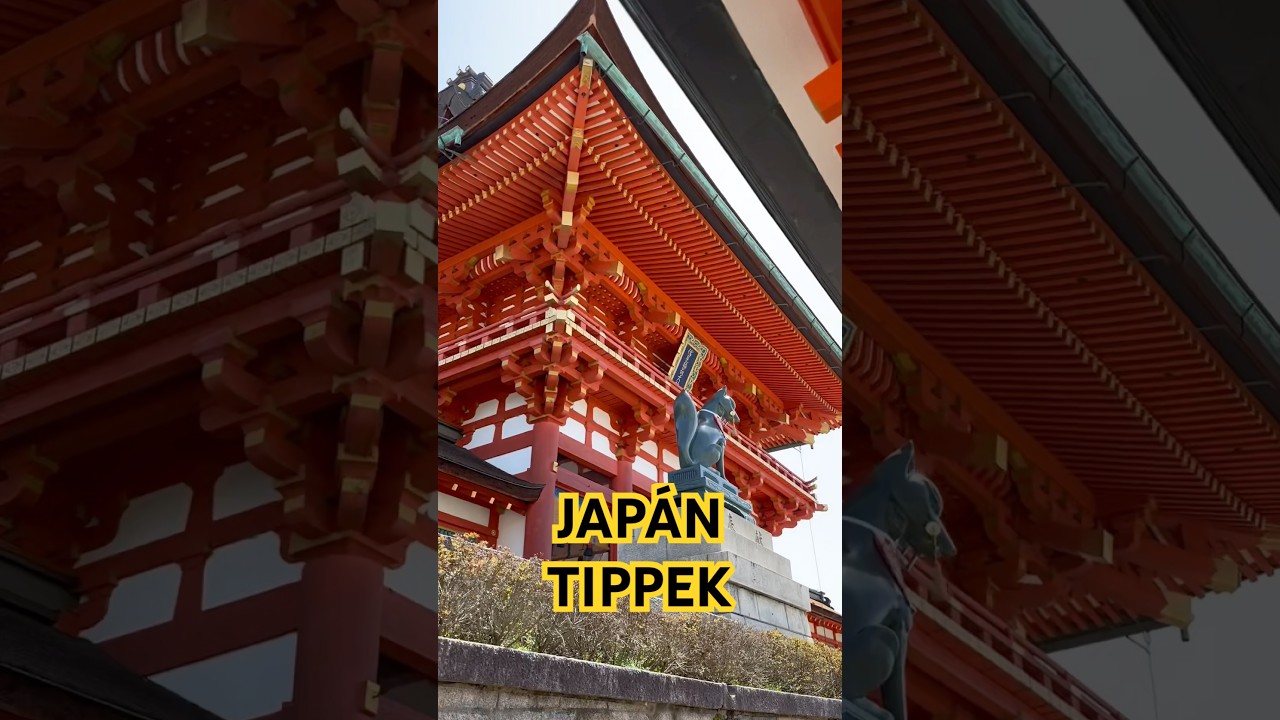 Jap&aacute;n tippek! #utazas #travel #utaz&aacute;s #japan #jap&aacute;n #korea #tipp #tippek #vlog